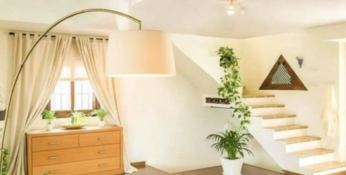 Sale of finca - cortijo in Coín 12