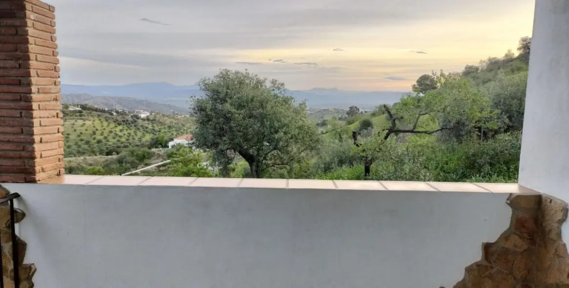 Sale of finca - cortijo in Coín 34