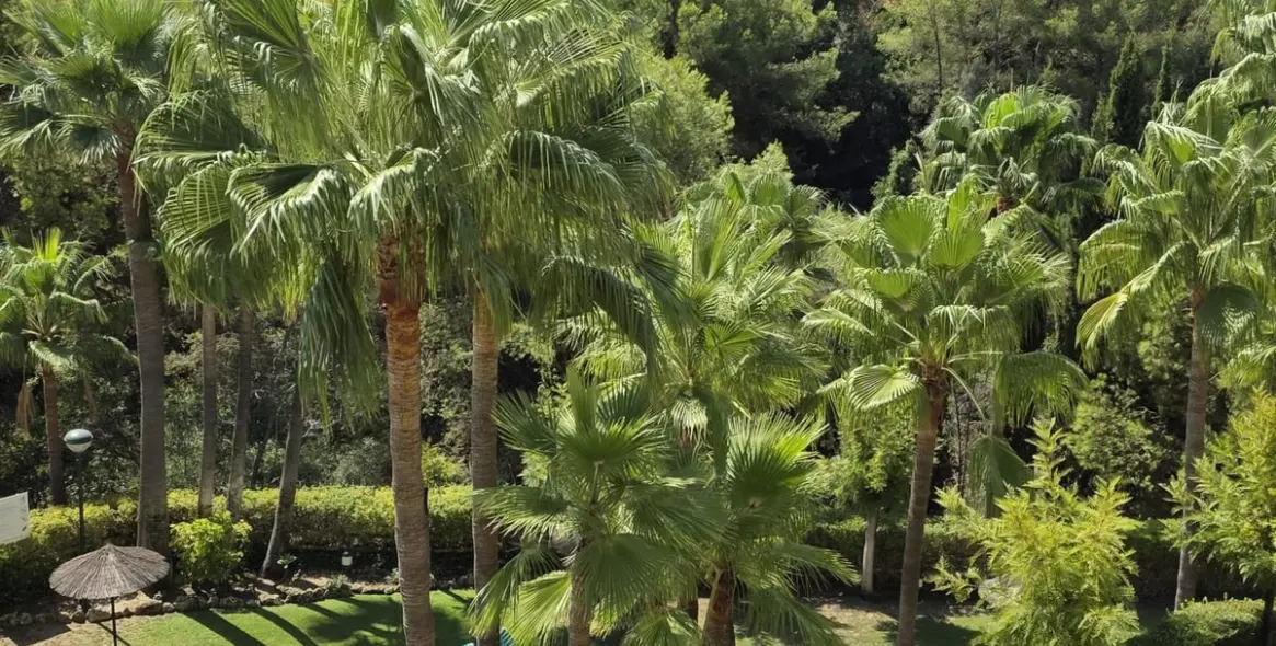 Sale of middle floor apartment in Sierra Blanca 1