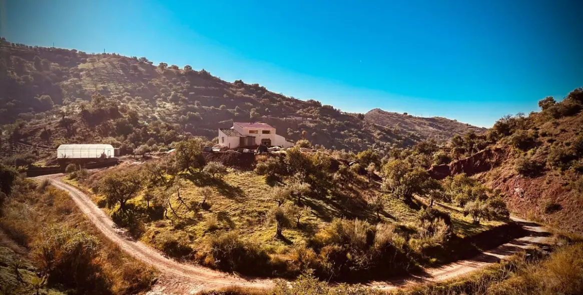 Продажа  отдельно стоящей виллы в Puerto de la Torre 1