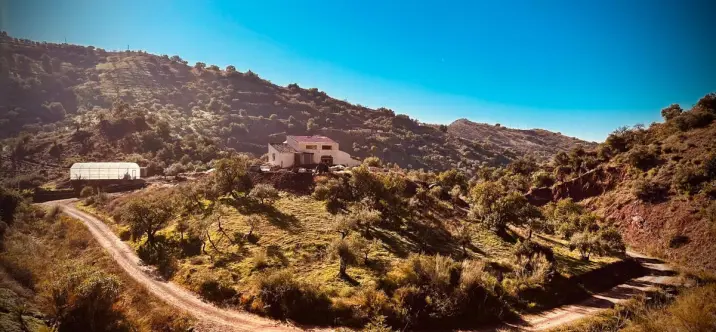 Продажа  отдельно стоящей виллы в Puerto de la Torre 0