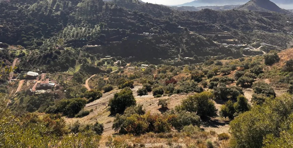 Продажа  отдельно стоящей виллы в Puerto de la Torre 6