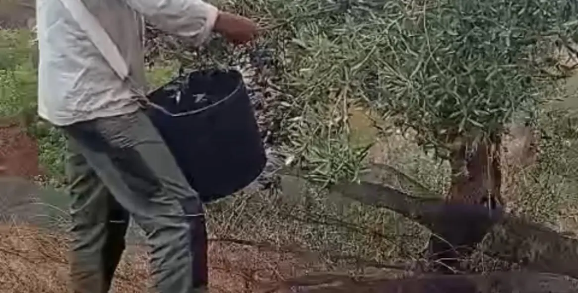 Продажа  отдельно стоящей виллы в Puerto de la Torre 15