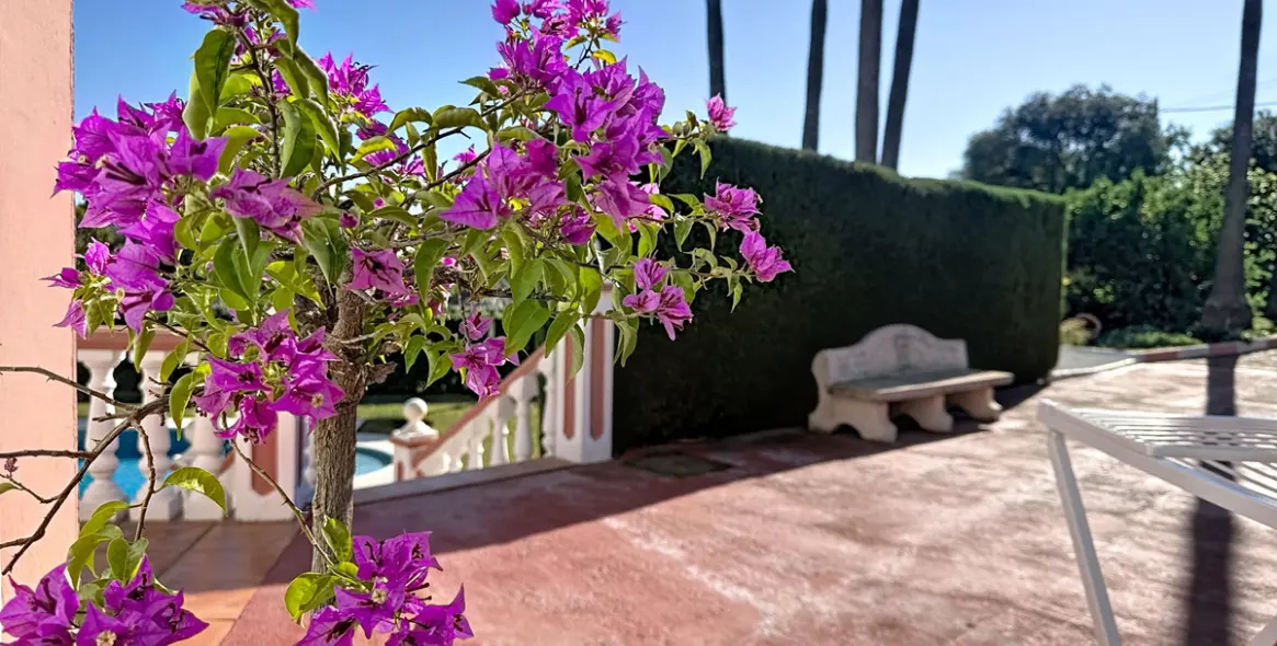 Продажа фермы в Estepona 9