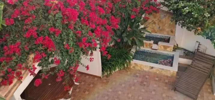 Sale of semi-detached house in Estepona 0