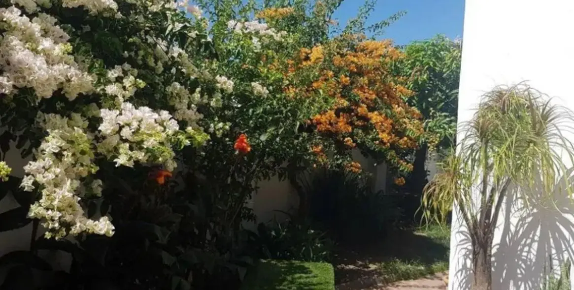 Sale of semi-detached house in Estepona 10