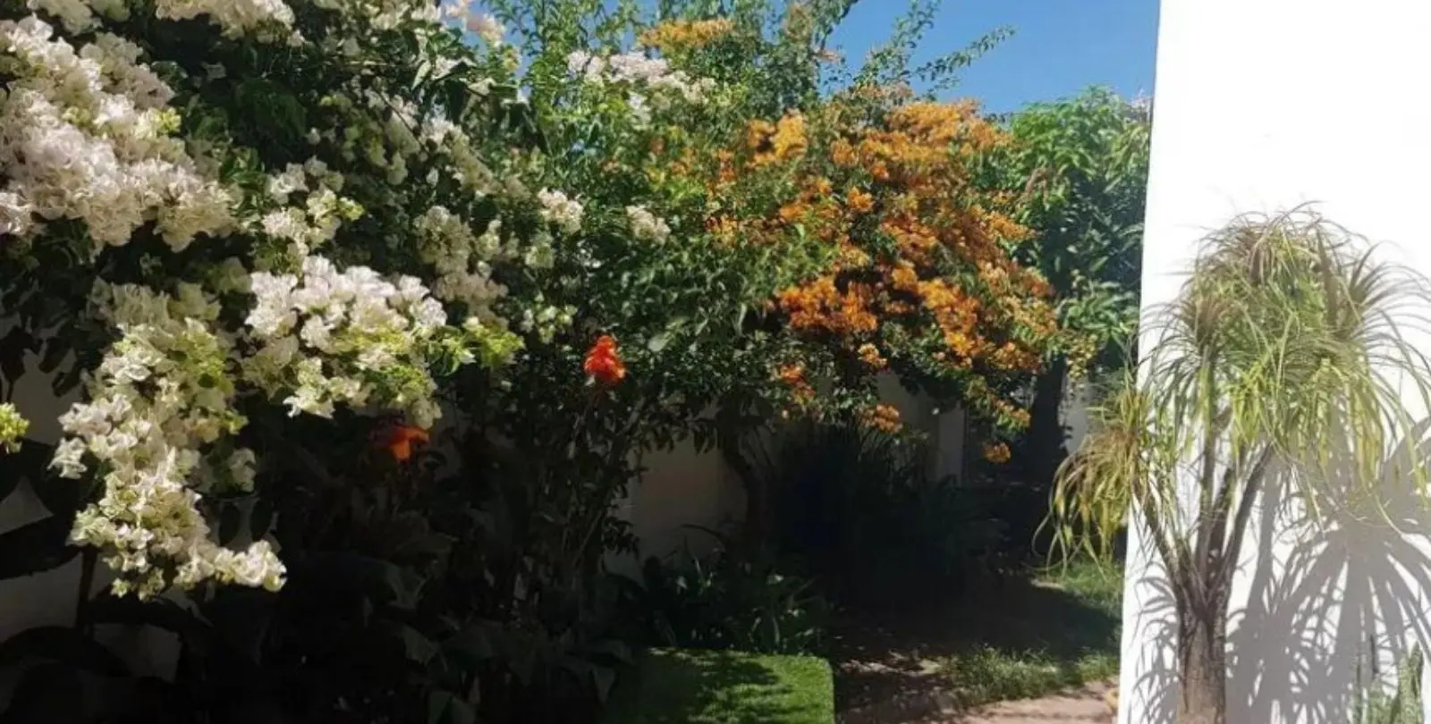 Продажа дома на две семьи в Estepona 10