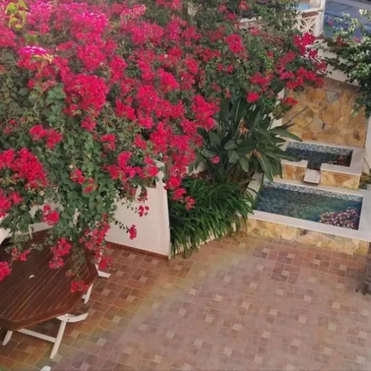 Продажа дома на две семьи в Estepona