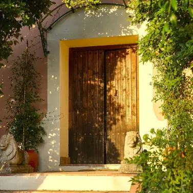 Продажа финки в Comares