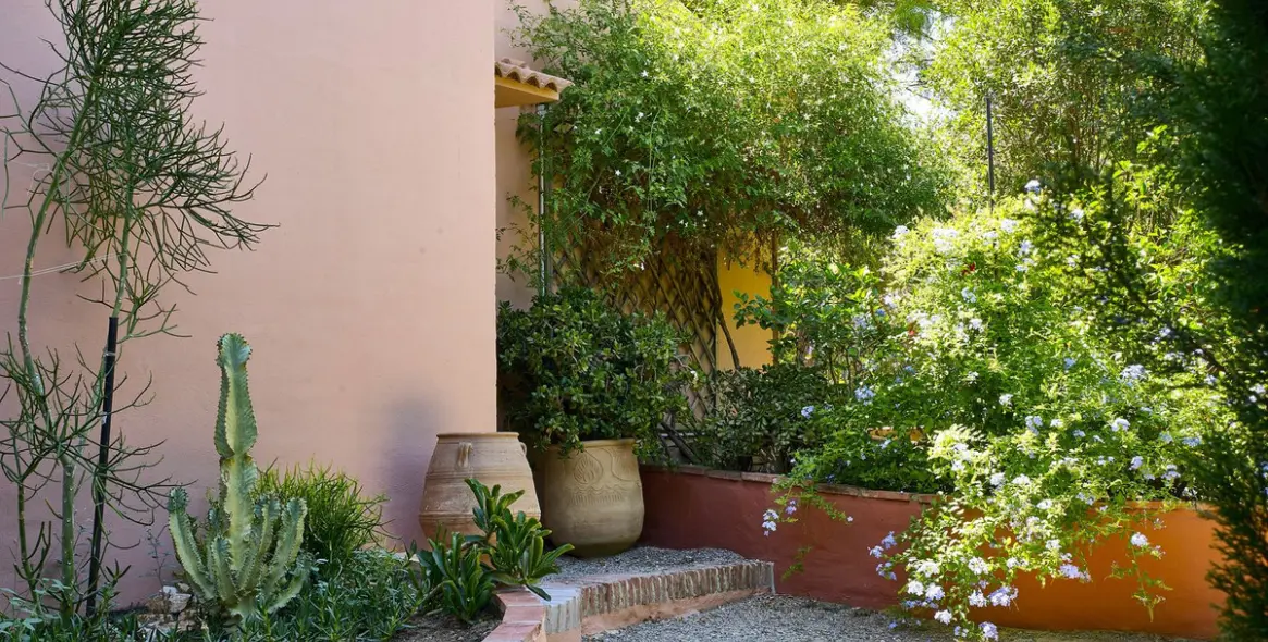 Продажа финки в Comares 8