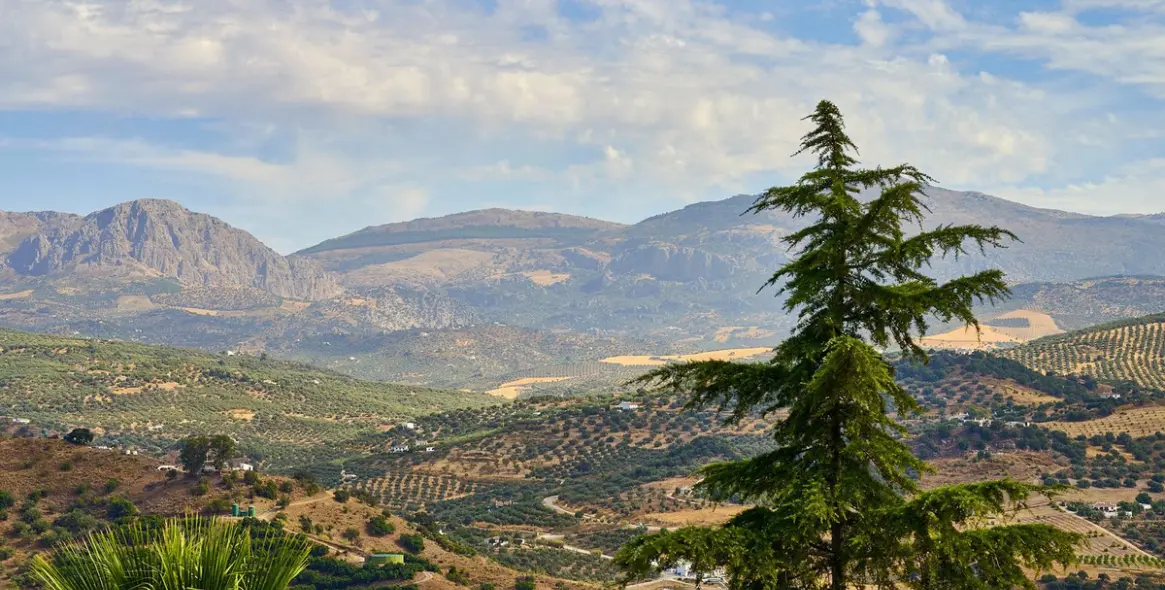 Продажа финки в Comares 76