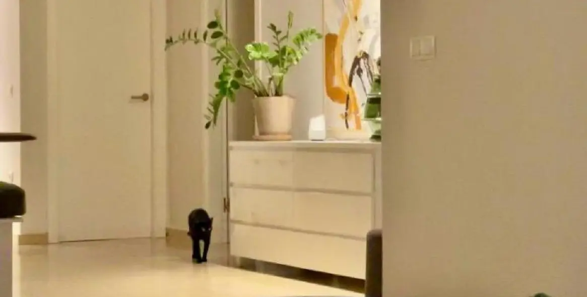 Sale of ground floor apartment in Manilva 8