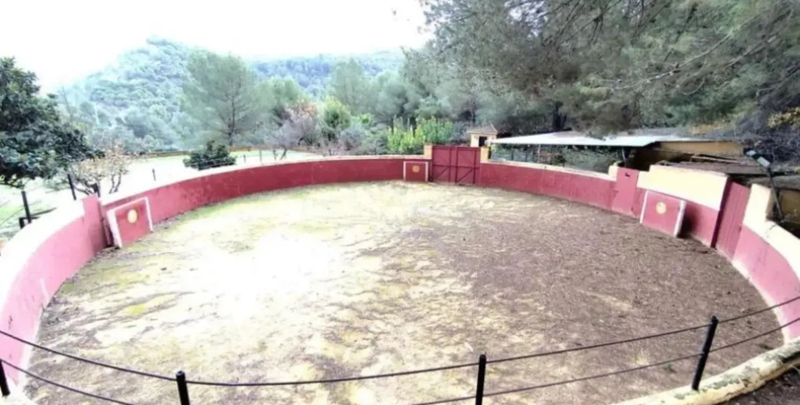 Sale of finca - cortijo in Monda 2