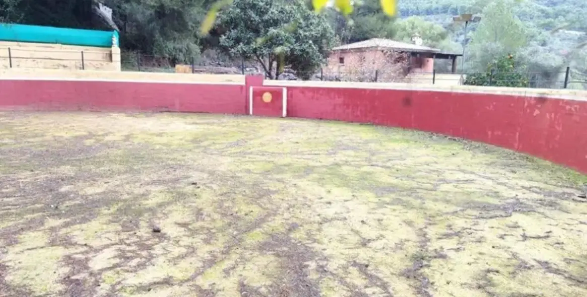 Sale of finca - cortijo in Monda 6