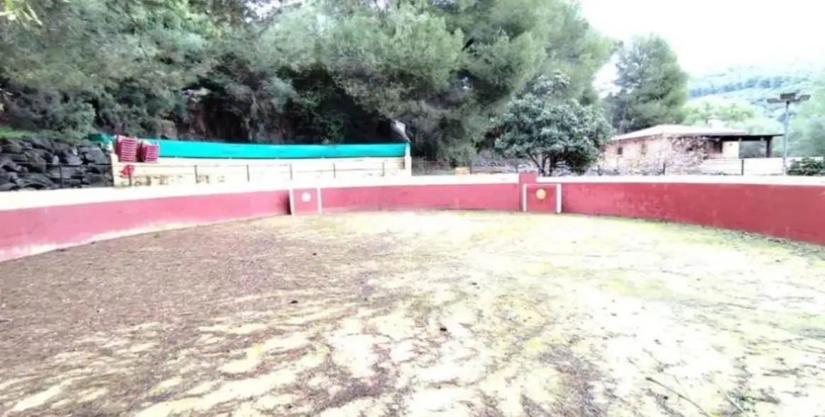 Sale of finca - cortijo in Monda 9