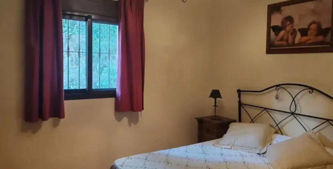 Sale of finca - cortijo in Monda 18