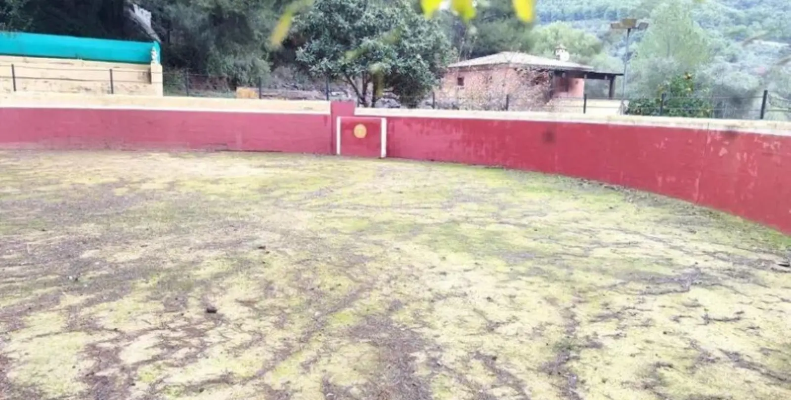 Venta de finca - cortijo en Monda 6