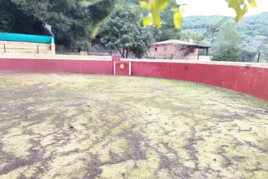 Image 6 thumb