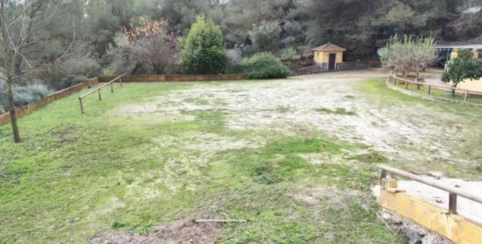 Venta de finca - cortijo en Monda 7