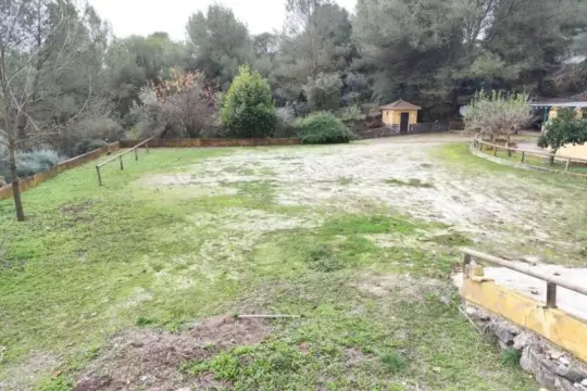 Image 7 thumb