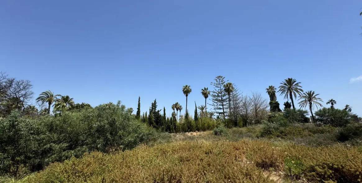 Sale of residential plot in Coín 6