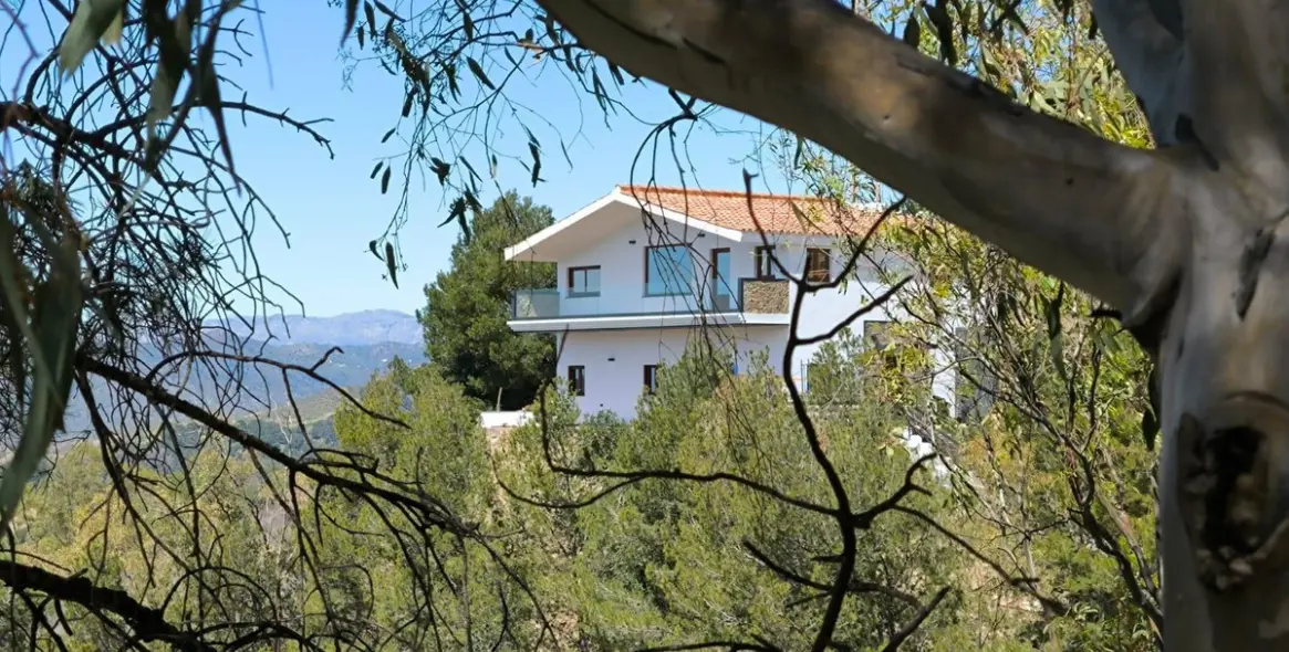 Sale of detached villa in Limonar 1