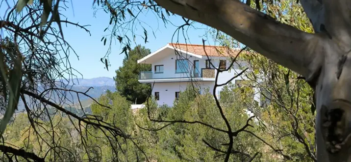 Sale of detached villa in Limonar 0