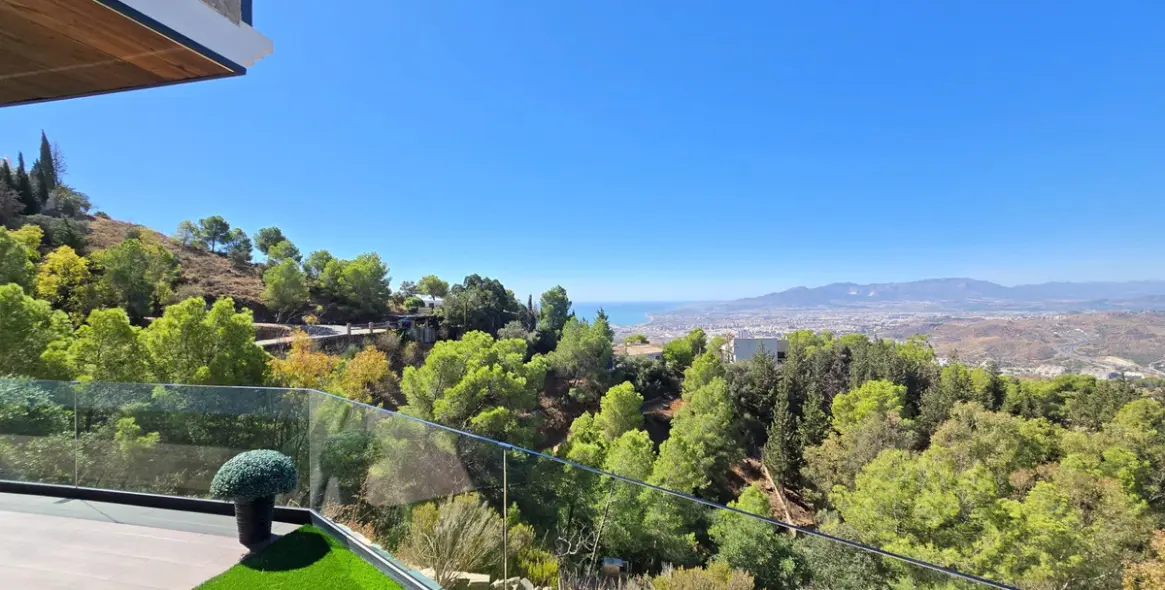 Sale of detached villa in Limonar 2