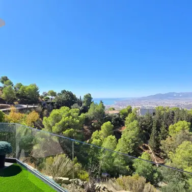 Sale of detached villa in Limonar