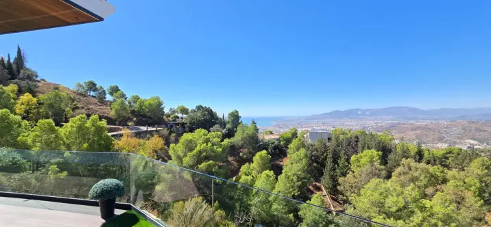 Sale of detached villa in Limonar 1