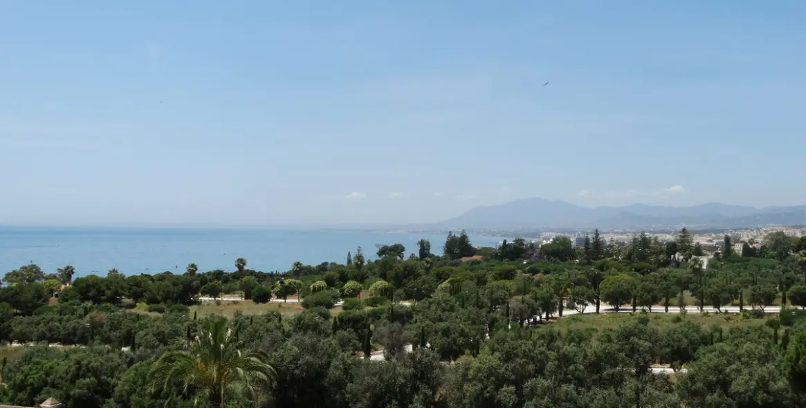 Продажа пентхауса в Río Real 3