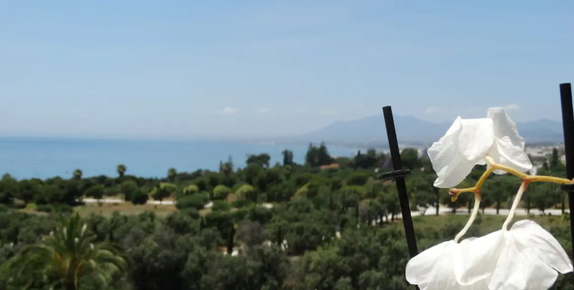 Продажа пентхауса в Río Real 4