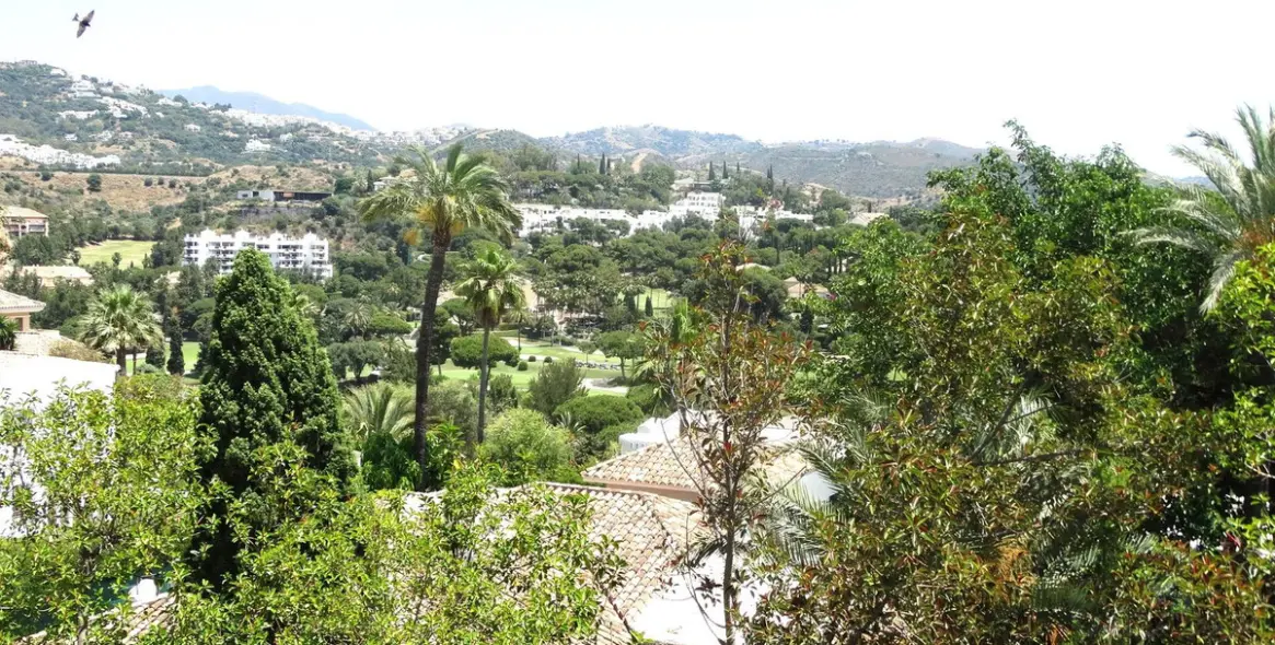 Продажа пентхауса в Río Real 6