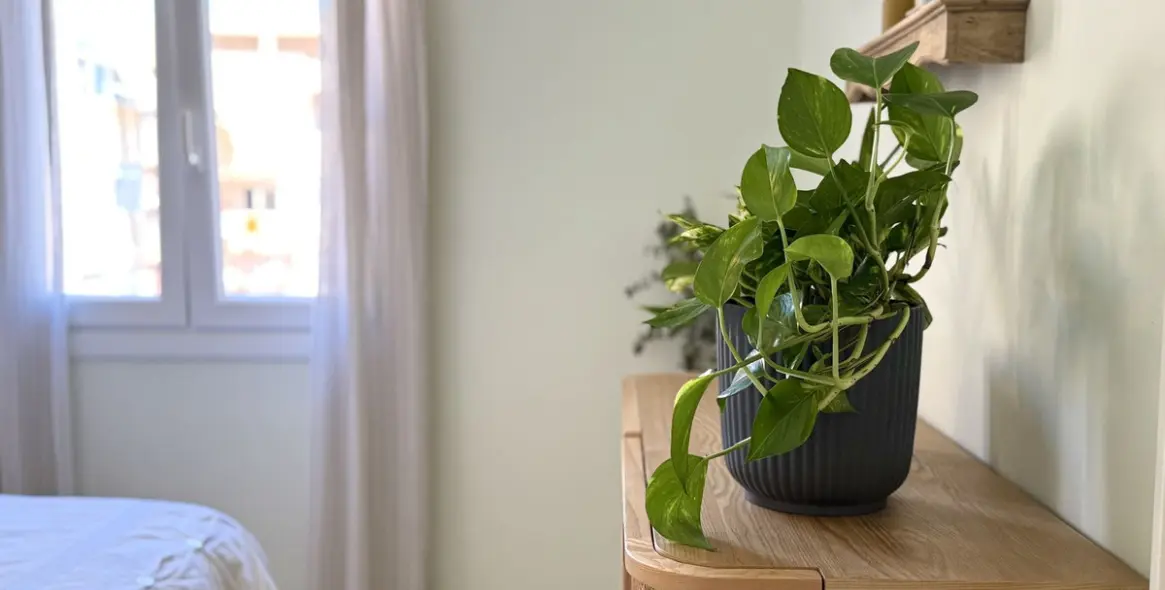 Sale of penthouse in Estepona 31