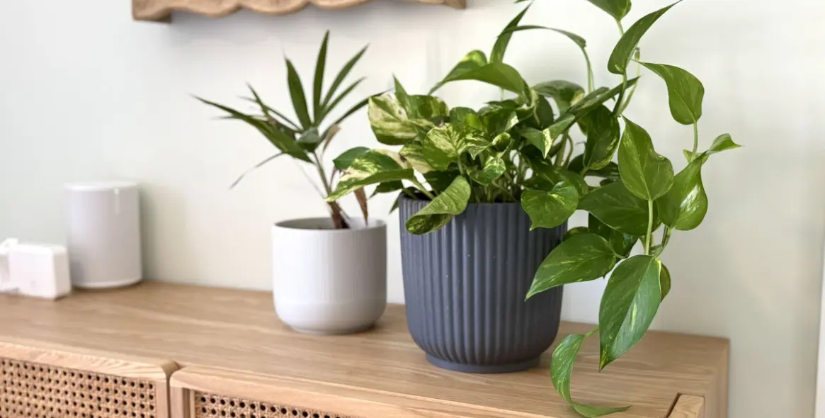 Sale of penthouse in Estepona 32