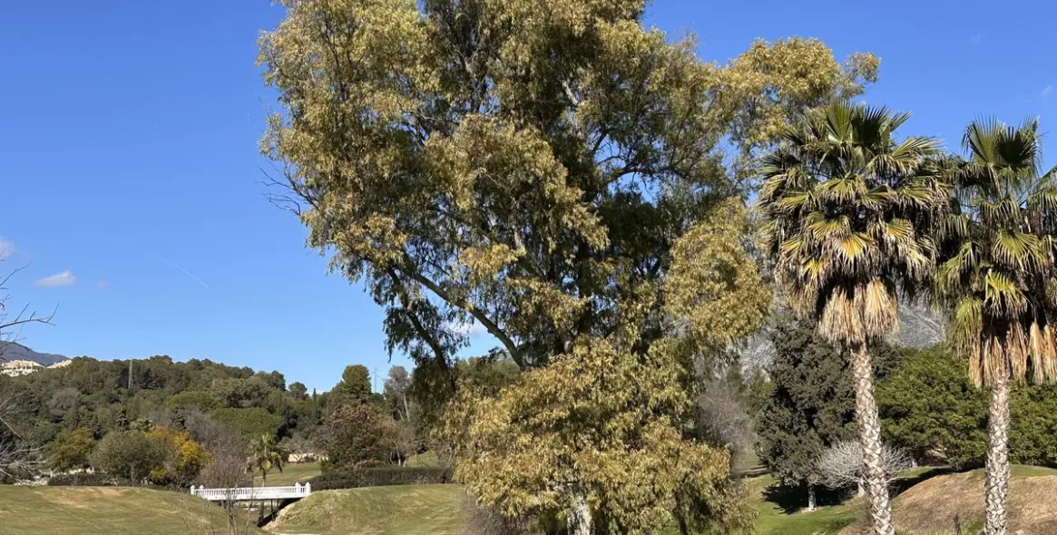 Продажа таунхауса в Aloha 9