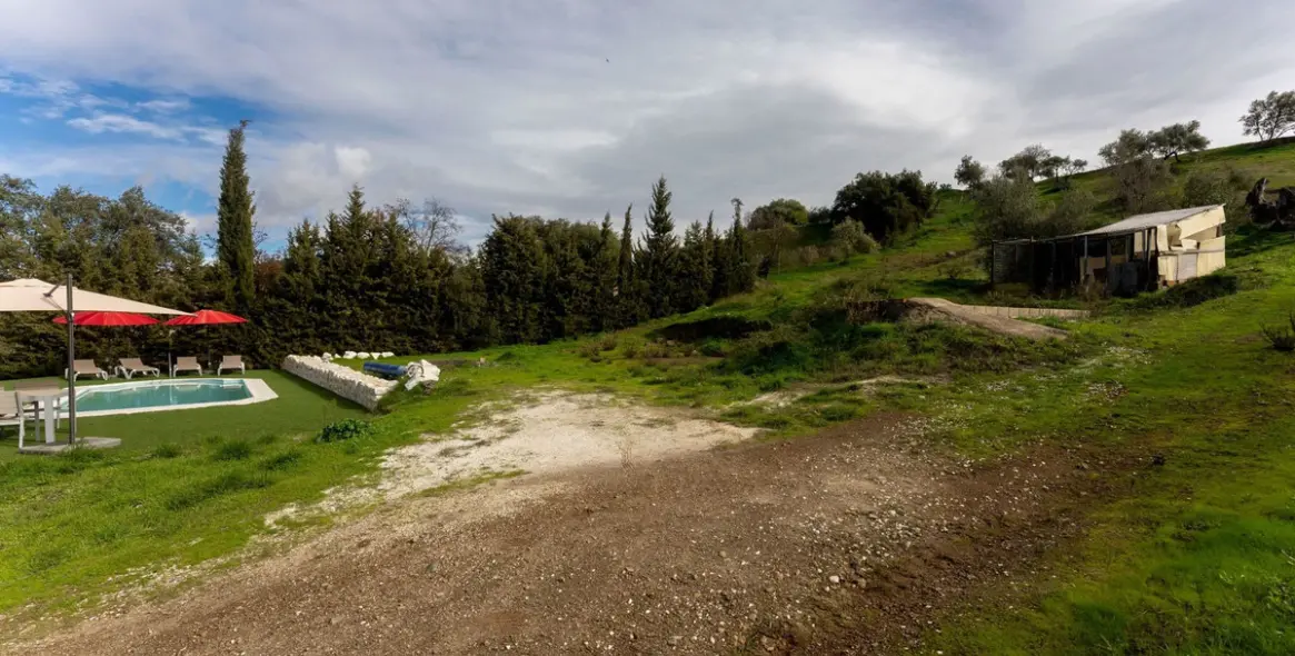 Продажа финки в Monda 33