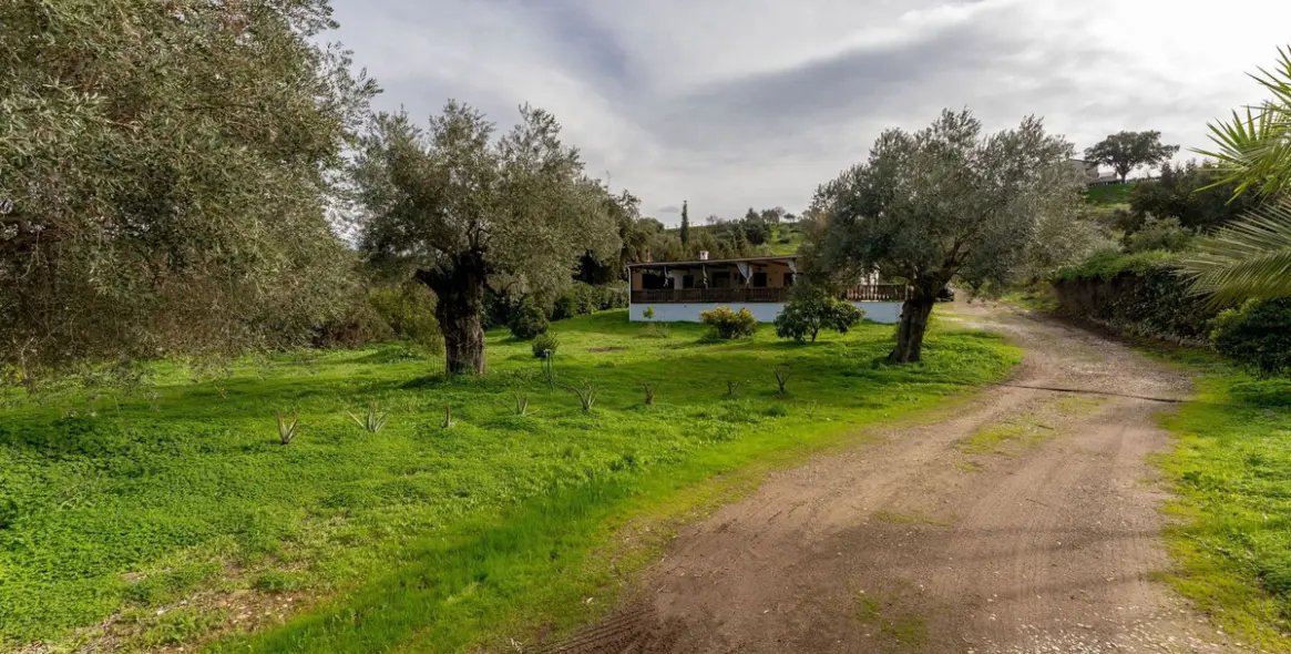 Продажа финки в Monda 34