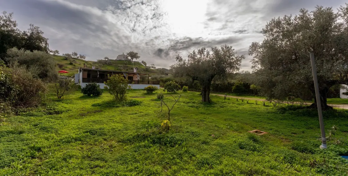 Продажа финки в Monda 36