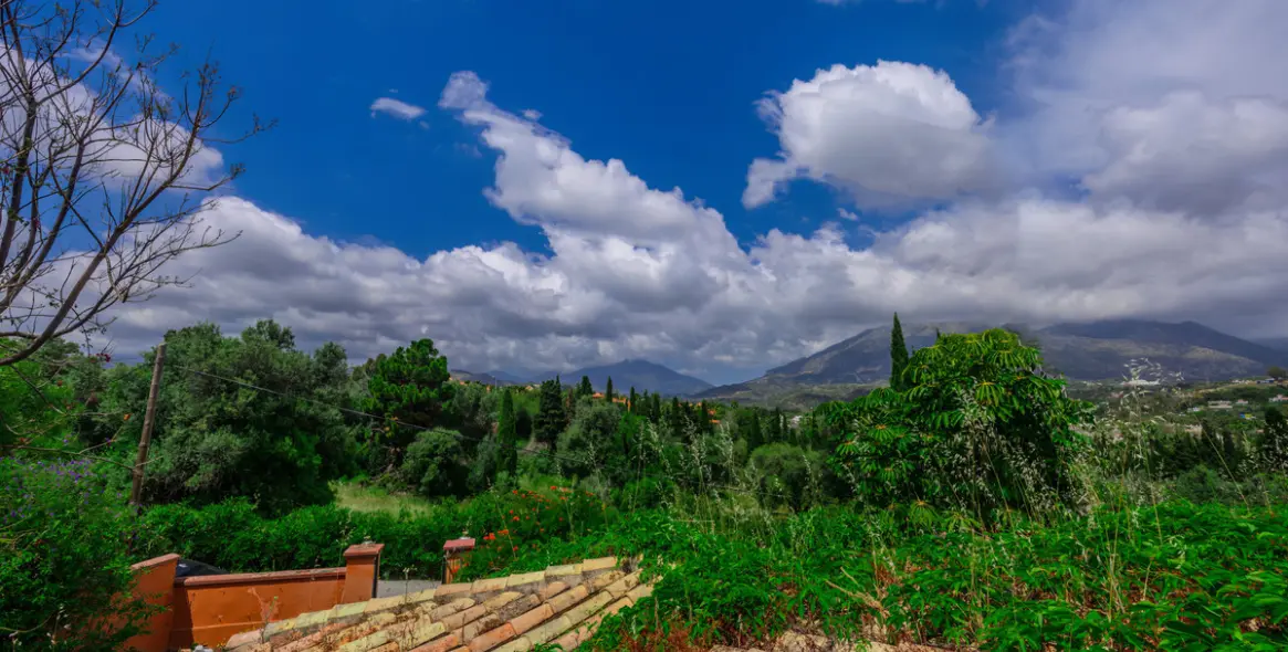 Sale of detached villa in Nueva Andalucía 4