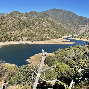 Sale of detached villa in Istán