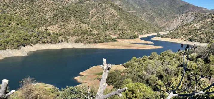 Sale of detached villa in Istán 1