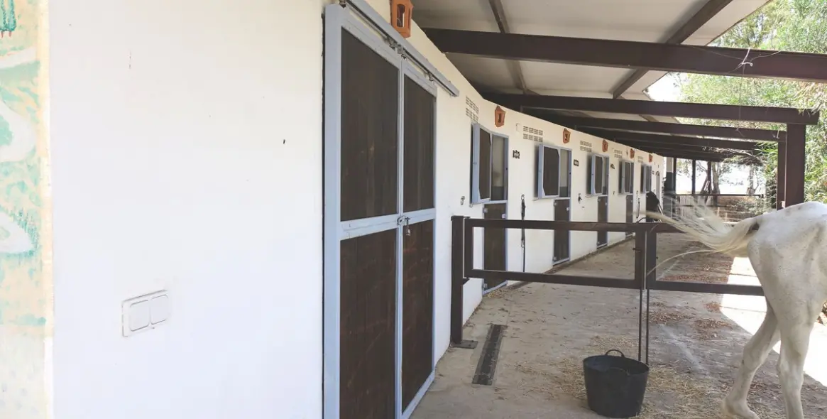 Venta de villa independiente en Valtocado 23