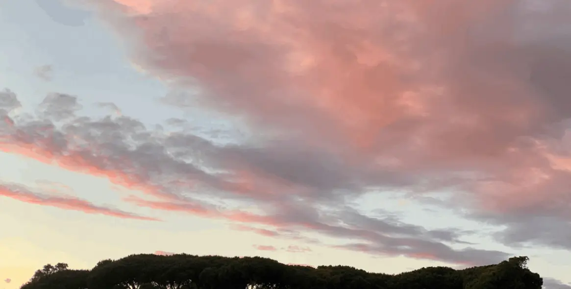 Продажа  отдельно стоящей виллы в Artola 54