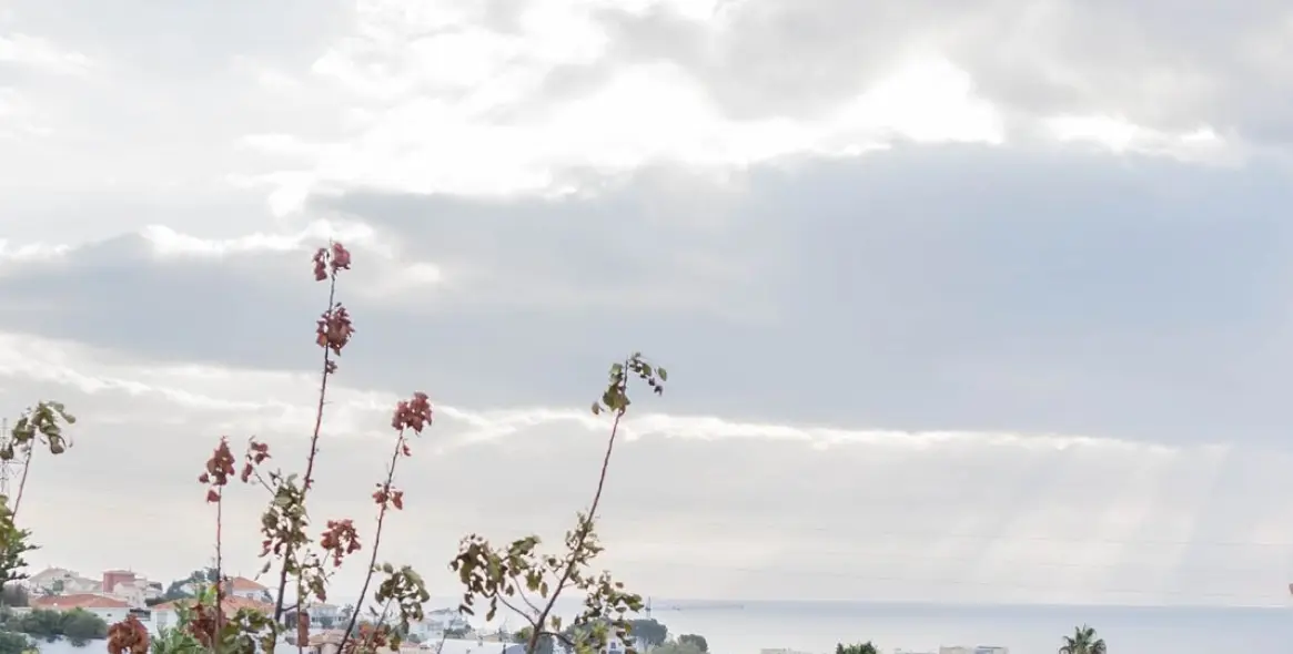 Sale of detached villa in Fuengirola 31