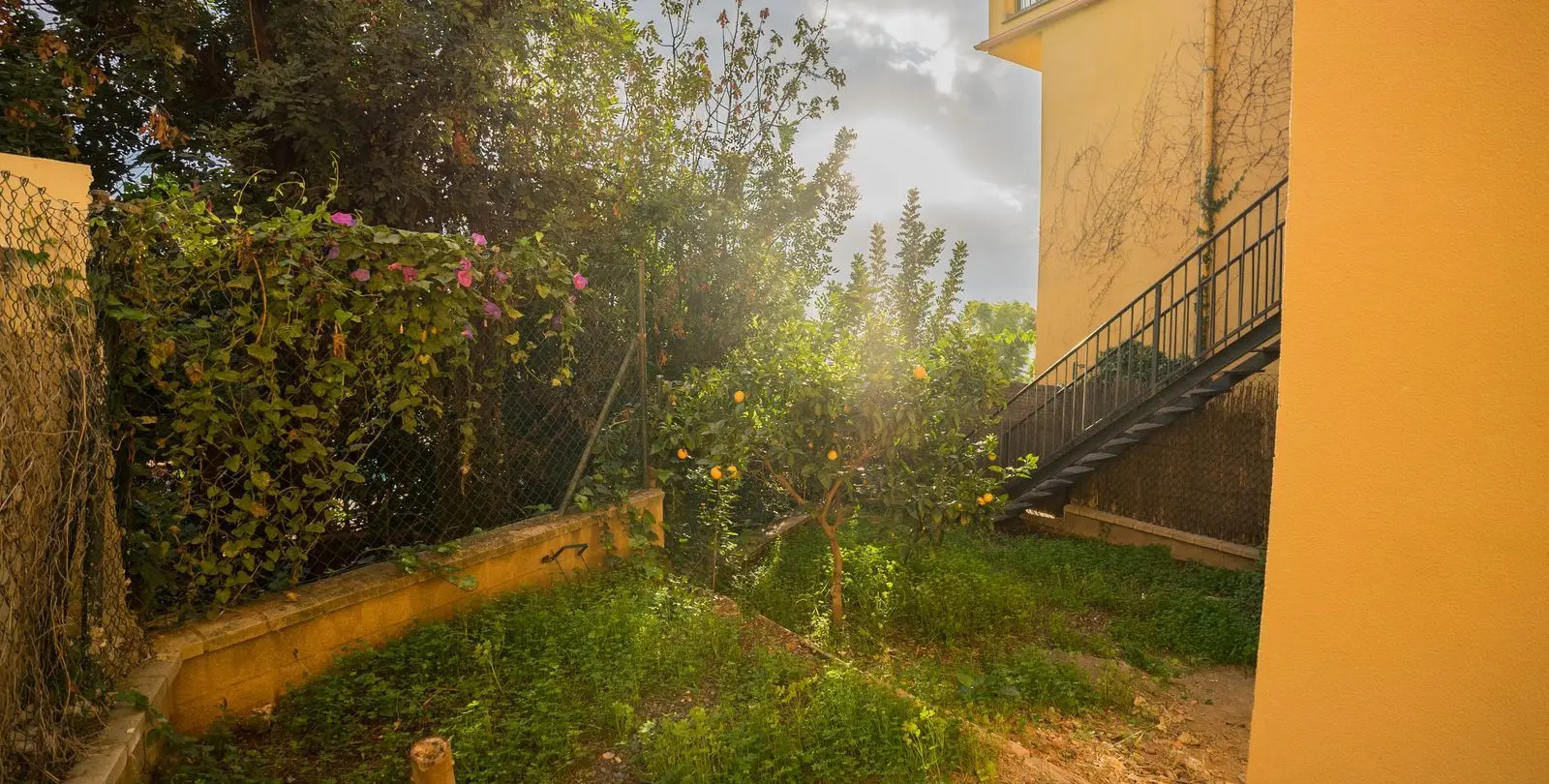 Sale of townhouse in Torreblanca 15