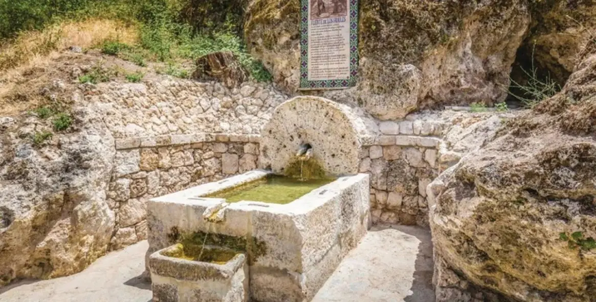 Sale of finca - cortijo in Cuevas del Becerro 3