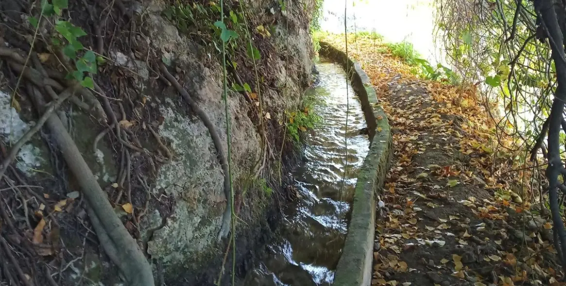 Продажа финки в Cuevas del Becerro 39