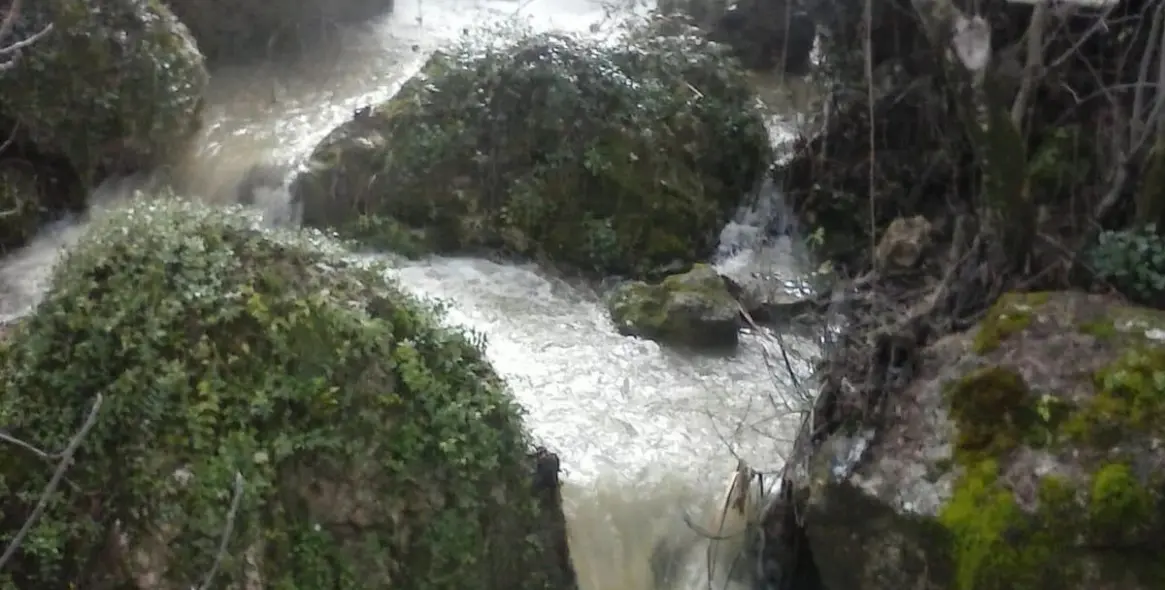 Продажа финки в Cuevas del Becerro 40