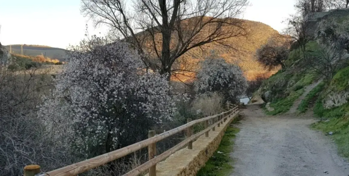 Продажа финки в Cuevas del Becerro 41